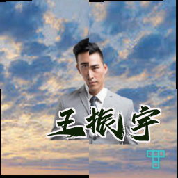 王振宇